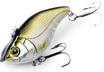 <br />
<b>Notice</b>:  Trying to access array offset on value of type null in <b>/home/sondejne/icatchfish.net/products/index.php</b> on line <b>63</b><br />
